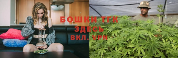 марки lsd Гусиноозёрск