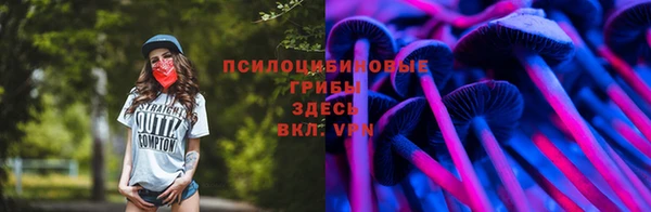 MESCALINE Гусев