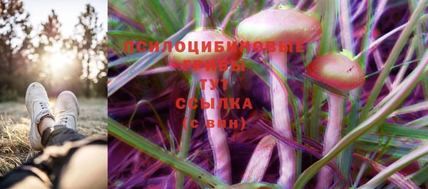 марки lsd Гусиноозёрск