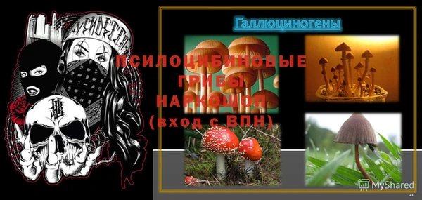 марки lsd Гусиноозёрск